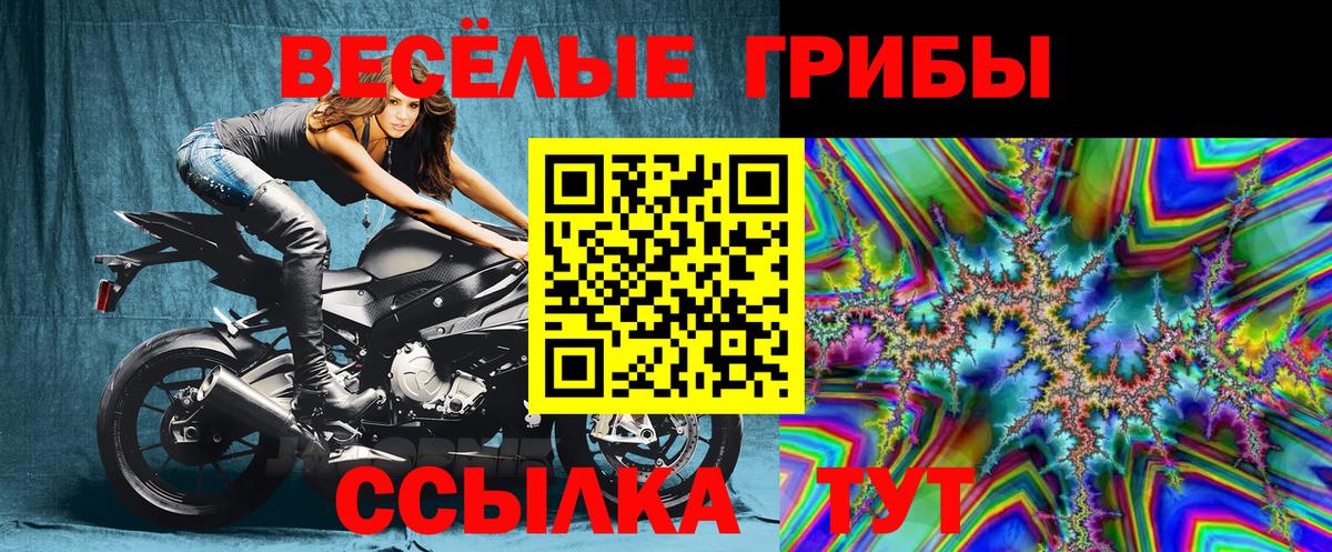 Павлово  Галлюциногенные грибы GOLDEN TEACHER  Вход с VPN 
