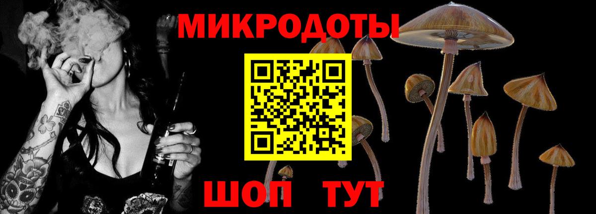 Галлюциногенные грибы мицелий Павлово